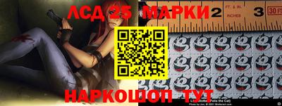 индика Гусев