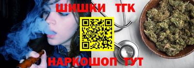 индика Гусев