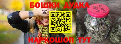 индика Гусев
