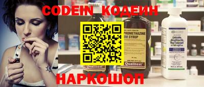 индика Гусев
