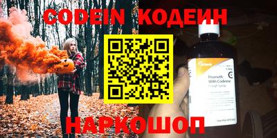 индика Гусев