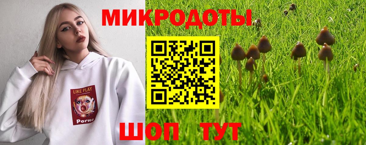 Галлюциногенные грибы мицелий  Вход с VPN  Нижний Новгород 