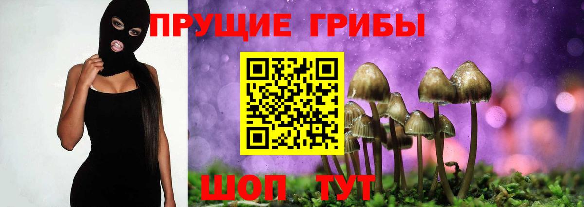 Псилоцибиновые грибы мухоморы Нижний Новгород