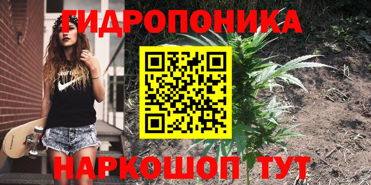 Бошки Шишки семена Нижний Новгород